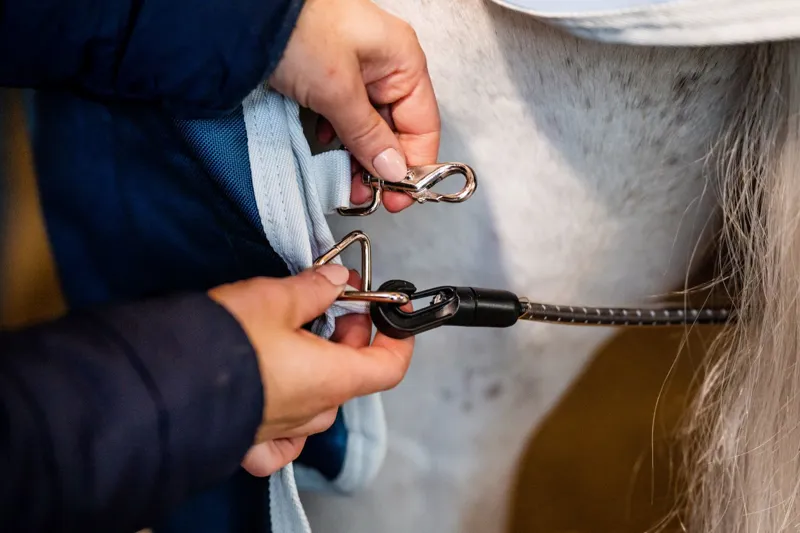 Horseware Eco Liner 200g Teal Eco Print/Grey-2